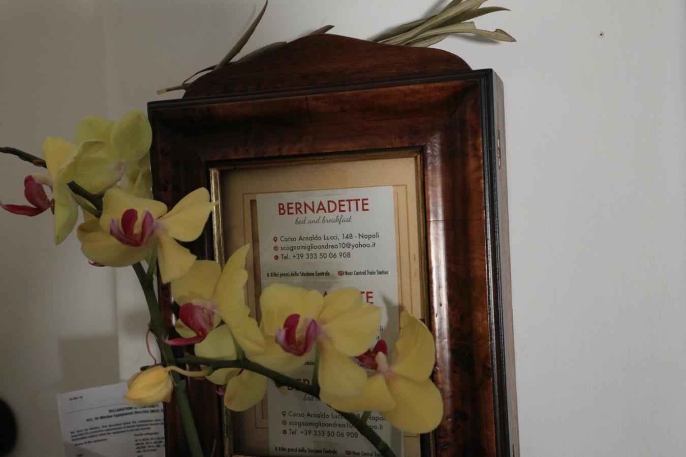 Bernadette Bed & Breakfast Napoli Dış mekan fotoğraf